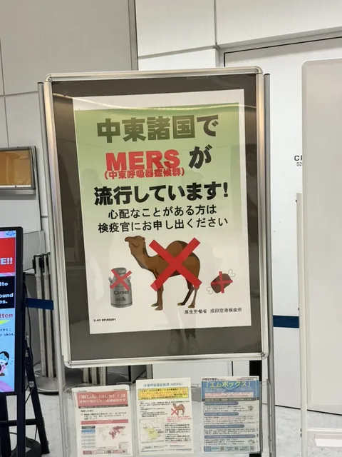 and the SECOND thing japan does is, before customs, post a sign at narita formally forbidding me from kissing OR drinking the milk of any camel. the red X is doing a lot of work here. understood.