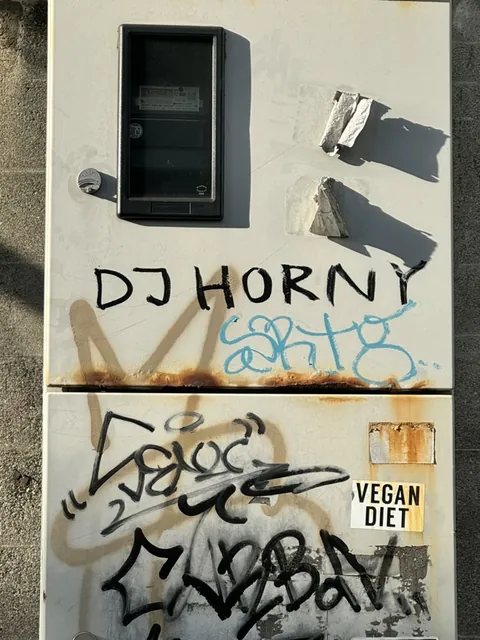 another shinjuku utility box, this one tagged DJ HORNY in big block letters right above a prim little VEGAN DIET sticker. the tonal range of tokyo street art knows no bounds.
