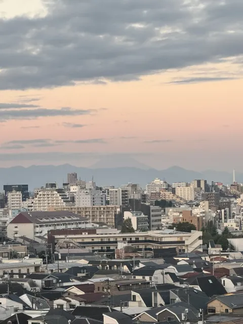 first thing christina and i clocked from the shinjuku window: Fuji, a faint smudge over the rooftops while the sky went pink. didn't expect to find it from the middle of the city.