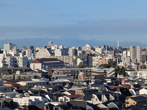 first morning in shinjuku and this is the view: rooftops for DAYS, with the tanzawa mountains (and maybe a little Fuji) going soft and blue out past the haze.