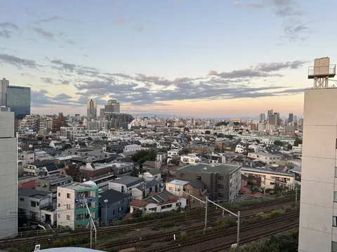 same window a few hours later and the tracks down front are the first thing to wake up, the whole of shinjuku stretching out flat under a sky that can't decide what color it is yet.