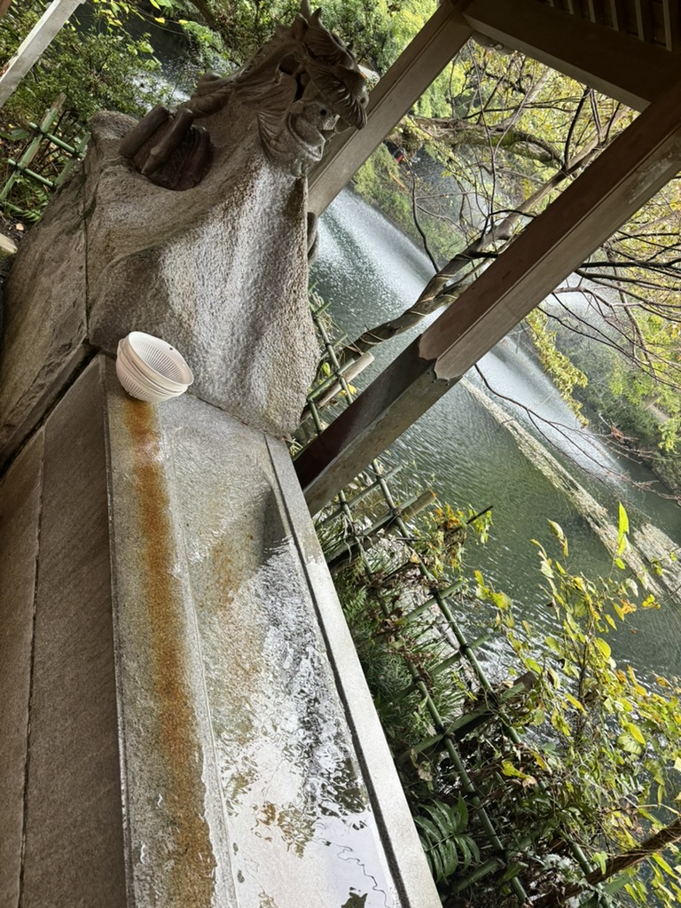 cool architectural detail at inokashira pond - christina found this stone dragon water spout thing near the ghibli museum