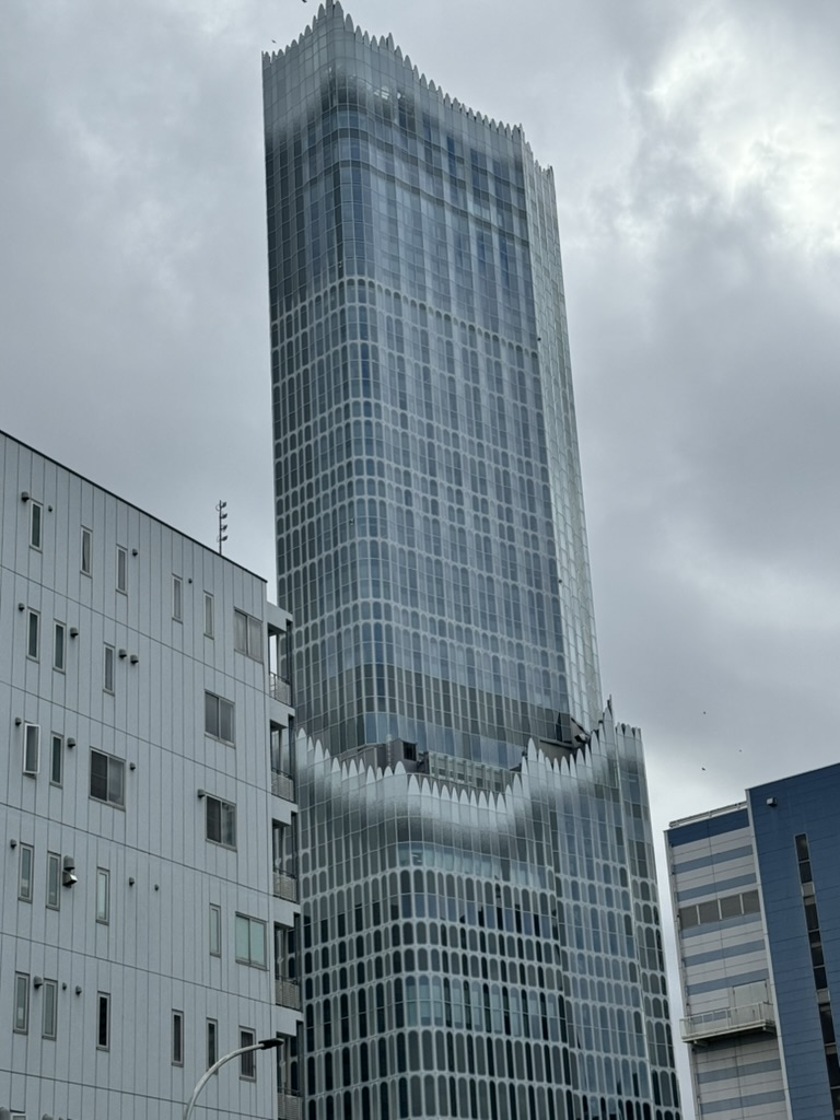 christina caught this moody shot of the WILD godzilla head building in shinjuku on our first rainy morning in tokyo