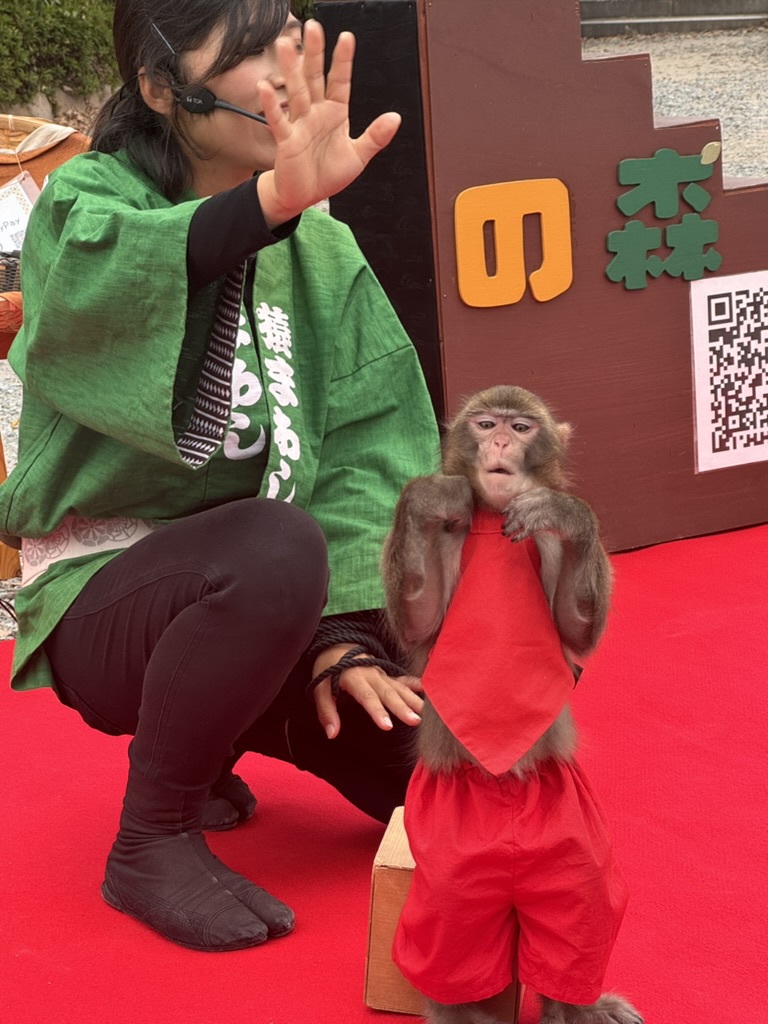 near osaka castle, we found this AMAZING monkey performer in a bright red outfit - way more stylish than any of us expected