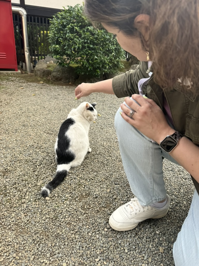 christina making friends with one of the many temple cats near gotokuji temple, where locals believe the famous 'maneki-neko' lucky cat originated