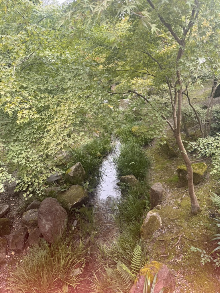 peaceful stream running through the gardens in kyoto. christina caught this zen moment during our morning walk.