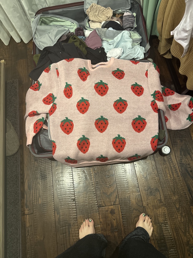 christina's kawaii strawberry sweater had to make the cut for japan packing, even if it takes up half the suitcase