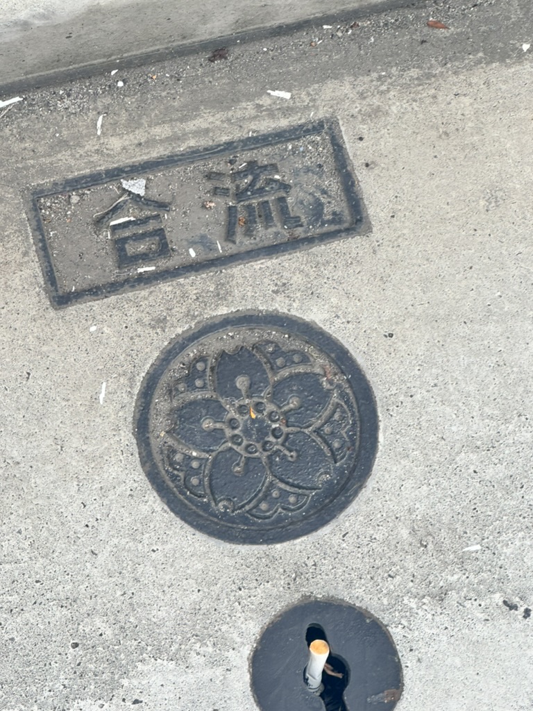 spotted this ornate manhole cover with a sakura design while wandering through shinjuku - japan takes their utility covers SERIOUSLY