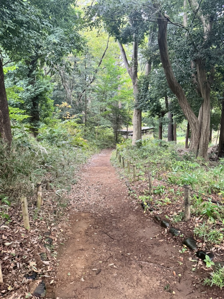 stumbled on this peaceful trail in inokashira park while exploring musashino. way less crowded than the tourist spots we've seen so far.