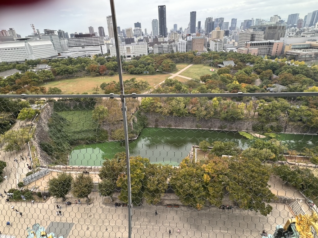 view from the top of osaka castle looking down at the moat and grounds - christina caught the early fall colors starting to show in the trees