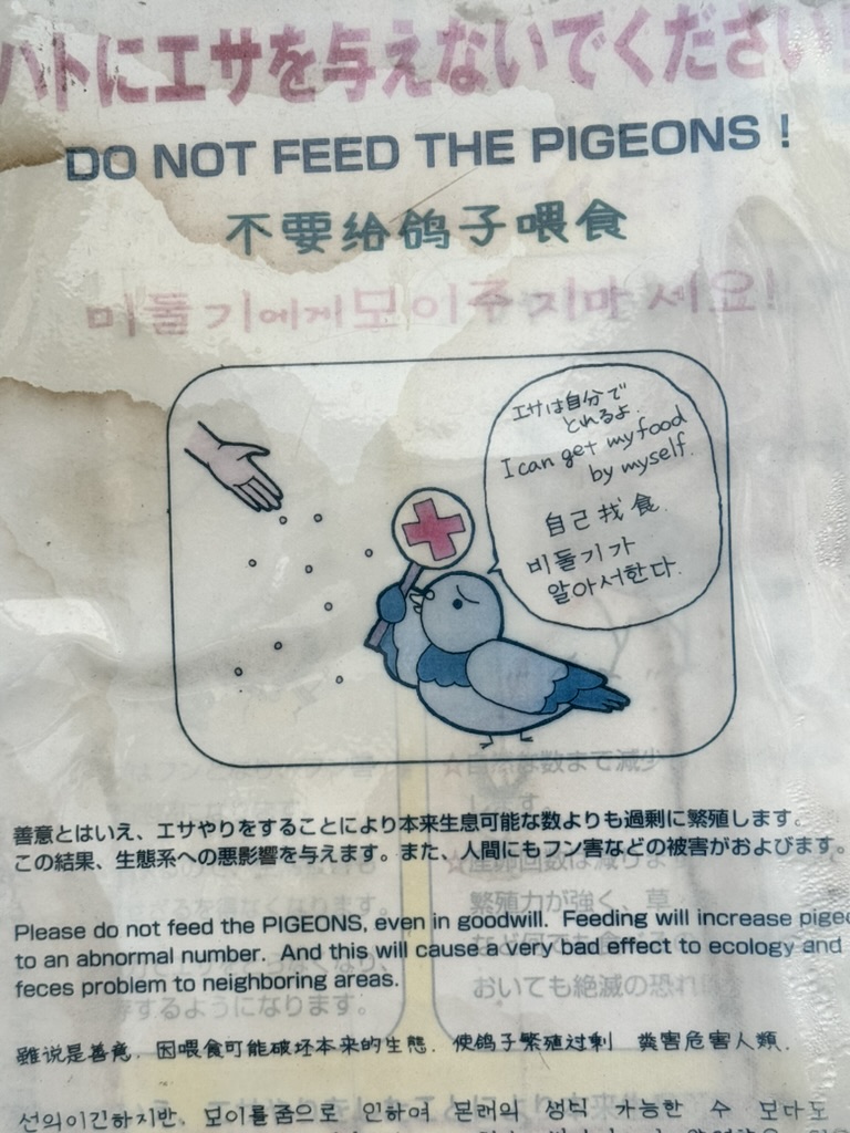 christina spotted this ADORABLE multilingual sign near sensoji temple warning tourists not to feed the local pigeons