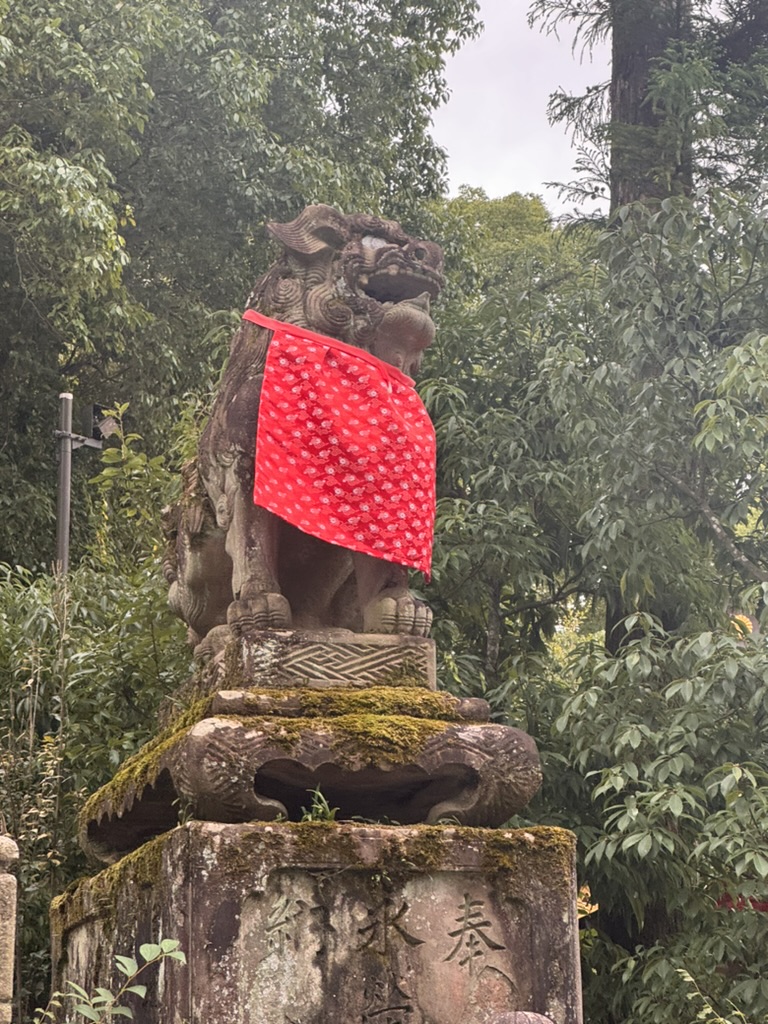 spotted this mossy guardian lion with its bright red bib at fushimi inari shrine - these guys have been keeping watch here for CENTURIES