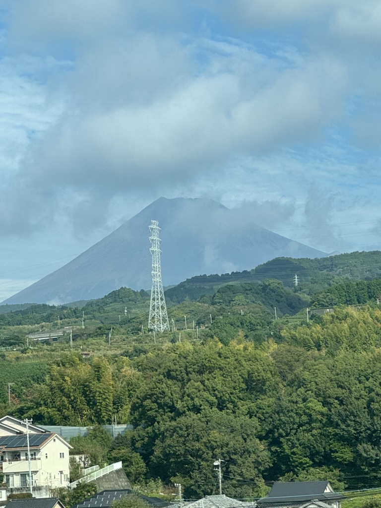 quick glimpse of mt. FUJI from the bullet train window as we zoomed between tokyo and osaka. daniel got way too excited about those massive power towers.