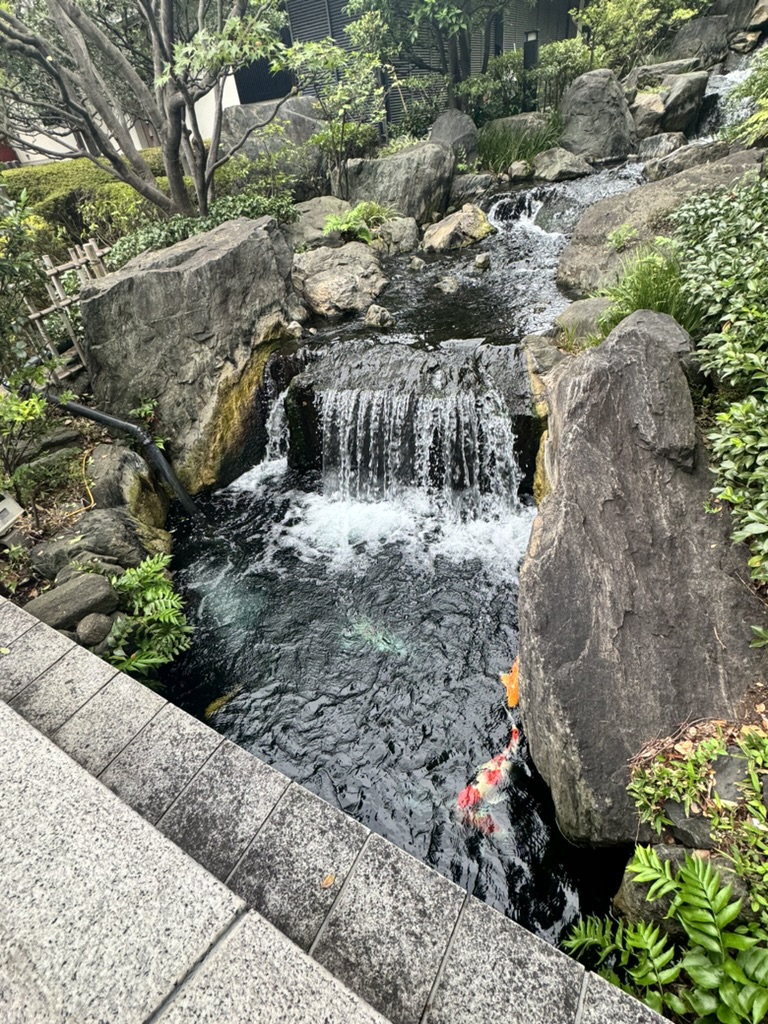 found this peaceful waterfall garden tucked away near sensoji temple in asakusa. these little urban oases are EVERYWHERE in tokyo.