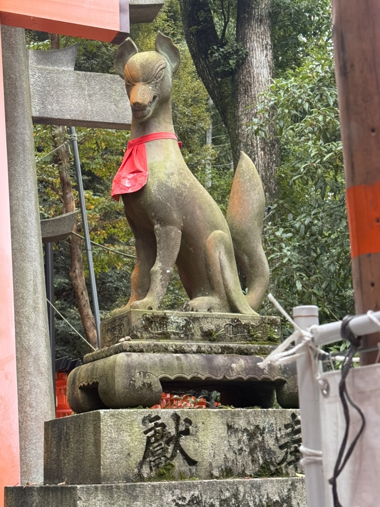 spotted this stone fox guardian with its bright red bib at fushimi inari shrine. these guys are EVERYWHERE on the mountain path