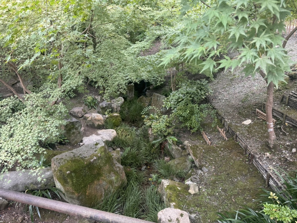 peaceful corner of the fushimi inari shrine grounds where christina spotted this mossy rock garden tucked away from the main paths