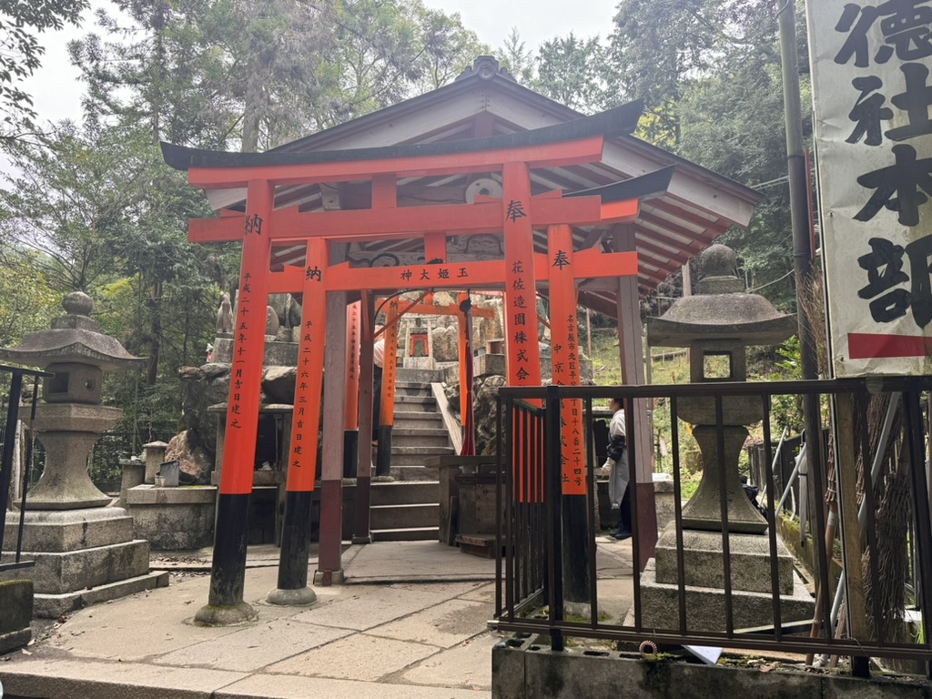 christina caught this shot of the iconic torii gates at fushimi inari shrine while daniel was already halfway up the mountain path