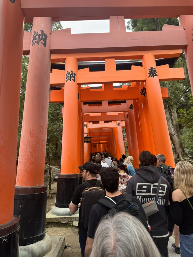 peak tourist season at the ICONIC fushimi inari shrine - christina caught the endless stream of visitors making their way through the torii gates