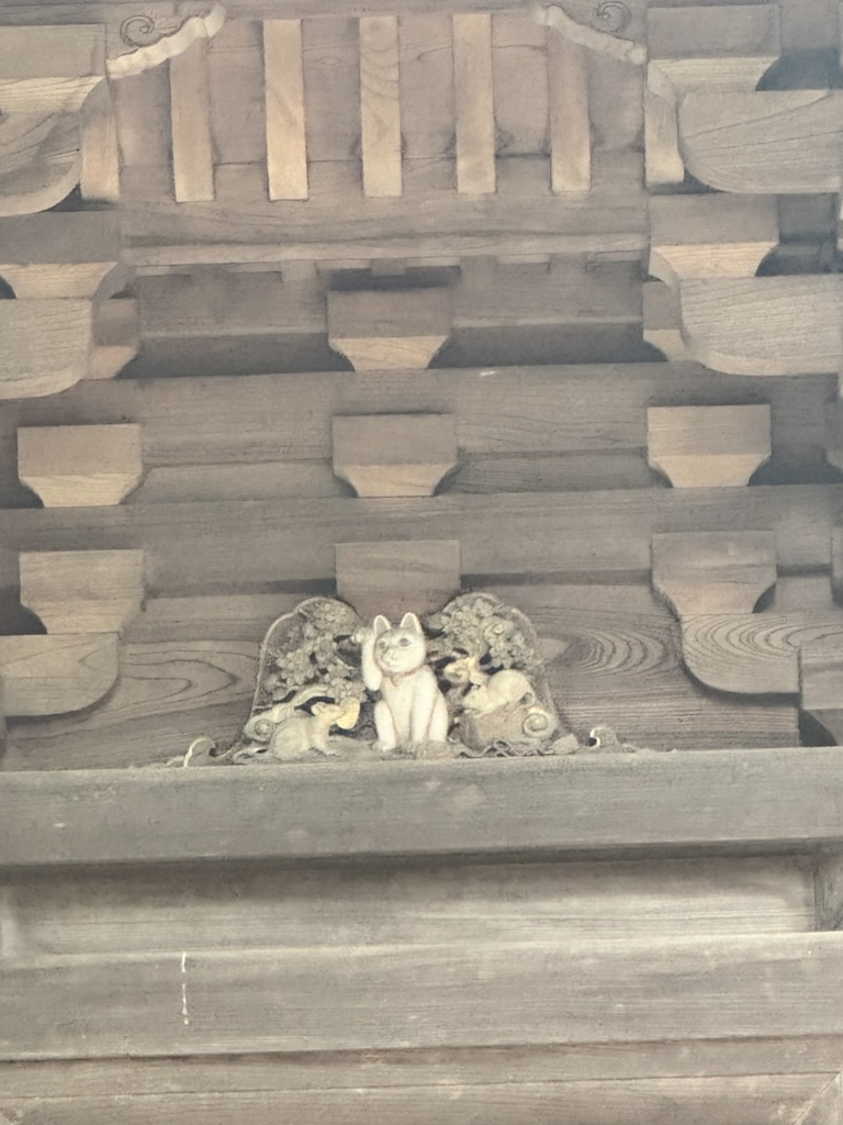 spotted this sneaky maneki-neko carving hiding in the temple eaves at gotokuji, where the lucky cat legend supposedly started