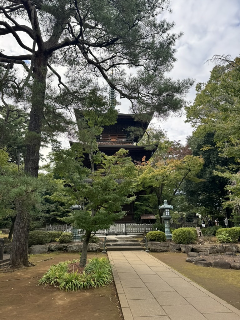 stumbled on this AMAZING zen temple while wandering through setagaya with daniel. those stone lanterns though.