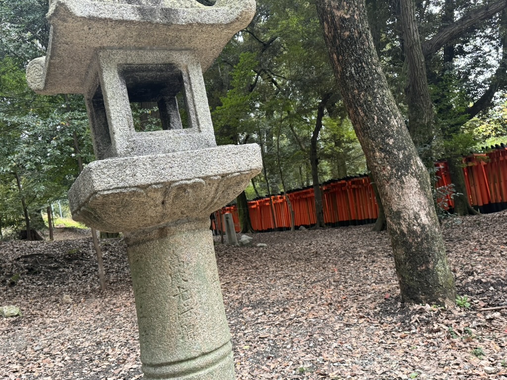 stone lantern at fushimi inari with those iconic TORII gates peeking through the trees in the background. daniel got artsy with this one.