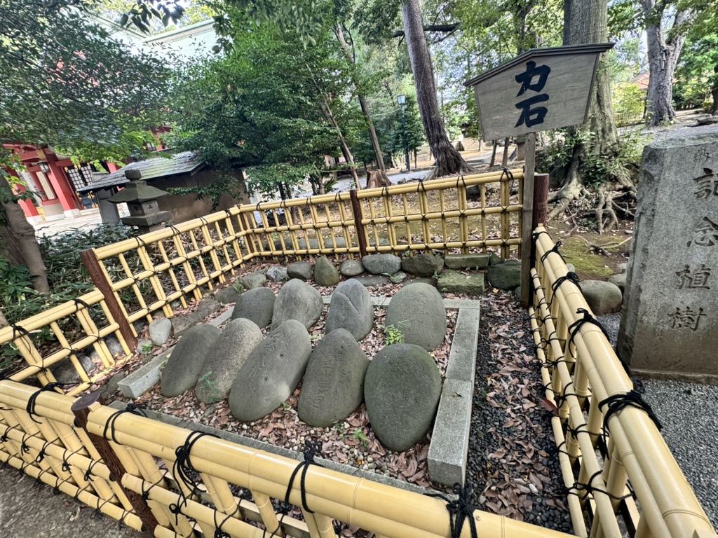 early morning wandering around gotokuji temple led christina to these ancient stone markers surrounded by traditional bamboo fencing