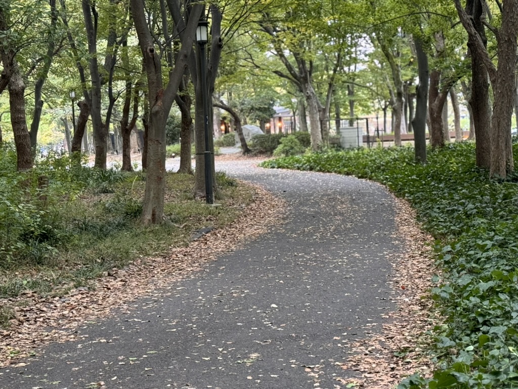 early morning walk through the peaceful paths of osaka castle park, where christina found this perfect curve in the trail