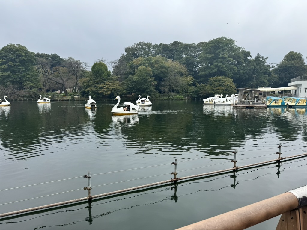 spotted these ADORABLE swan boats at inokashira pond near the ghibli museum. christina snapped this while we were walking around the park on a cloudy afternoon.