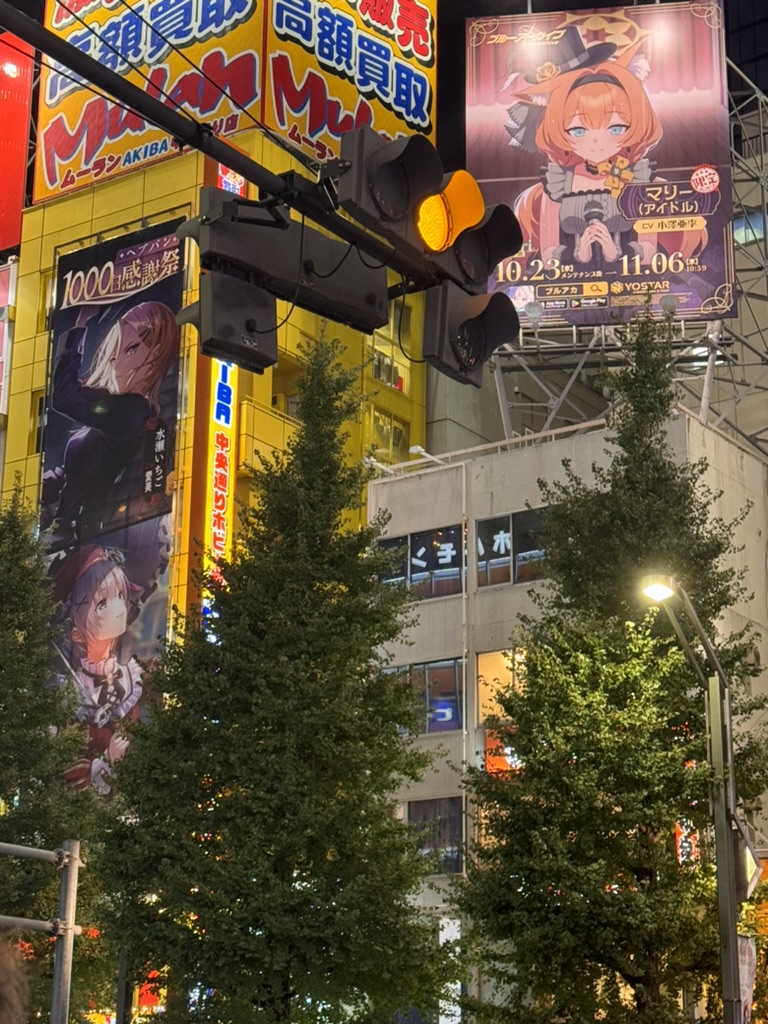 christina caught this shot of the MASSIVE anime billboards lighting up akihabara at night. typical evening scene in tokyo's famous otaku district