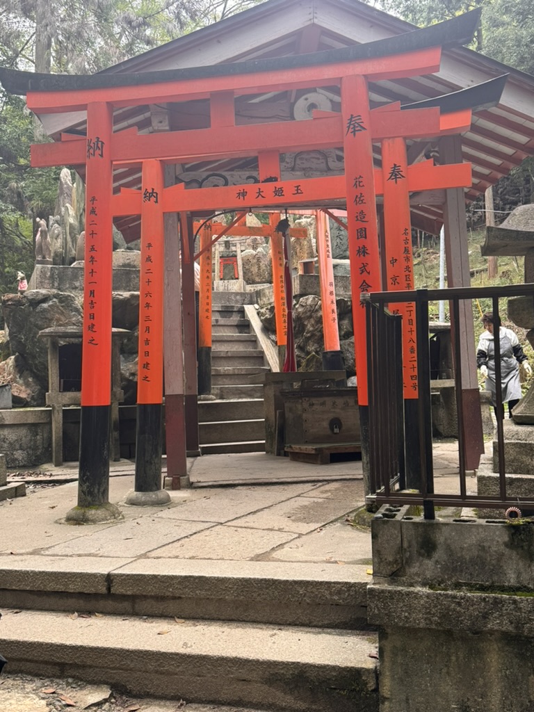 daniel and christina exploring the smaller torii gates at fushimi inari, where the paths get way less crowded than the famous entrance