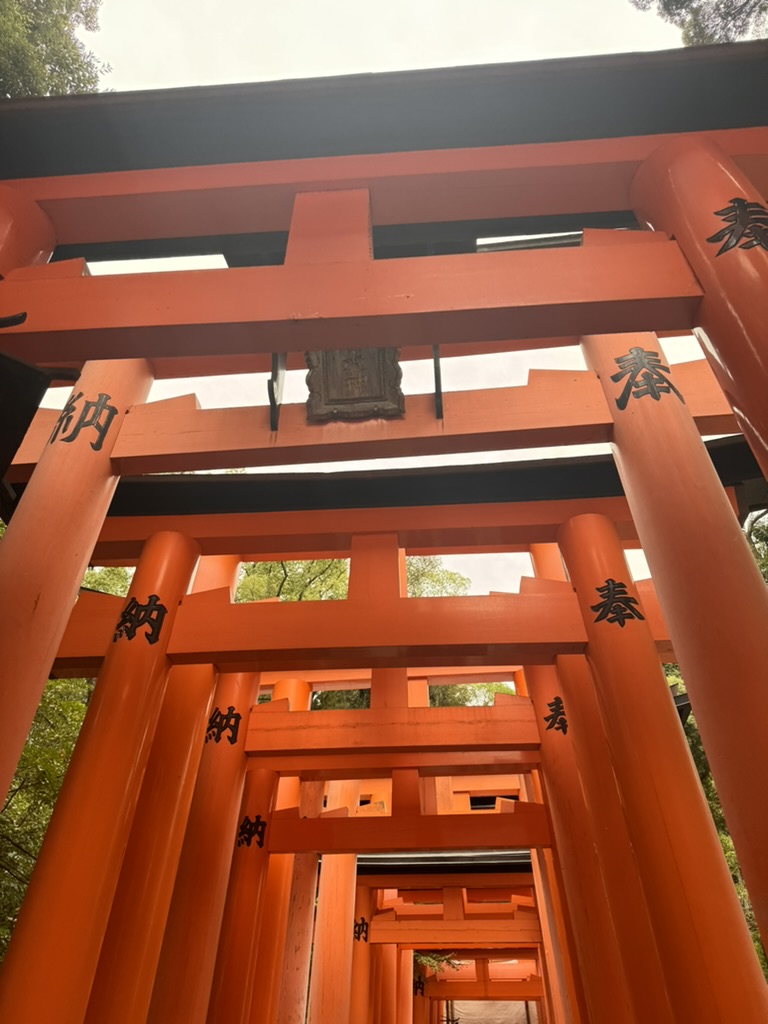 daniel caught this shot of the ICONIC orange torii gates while christina wandered through the tunnels at fushimi inari shrine