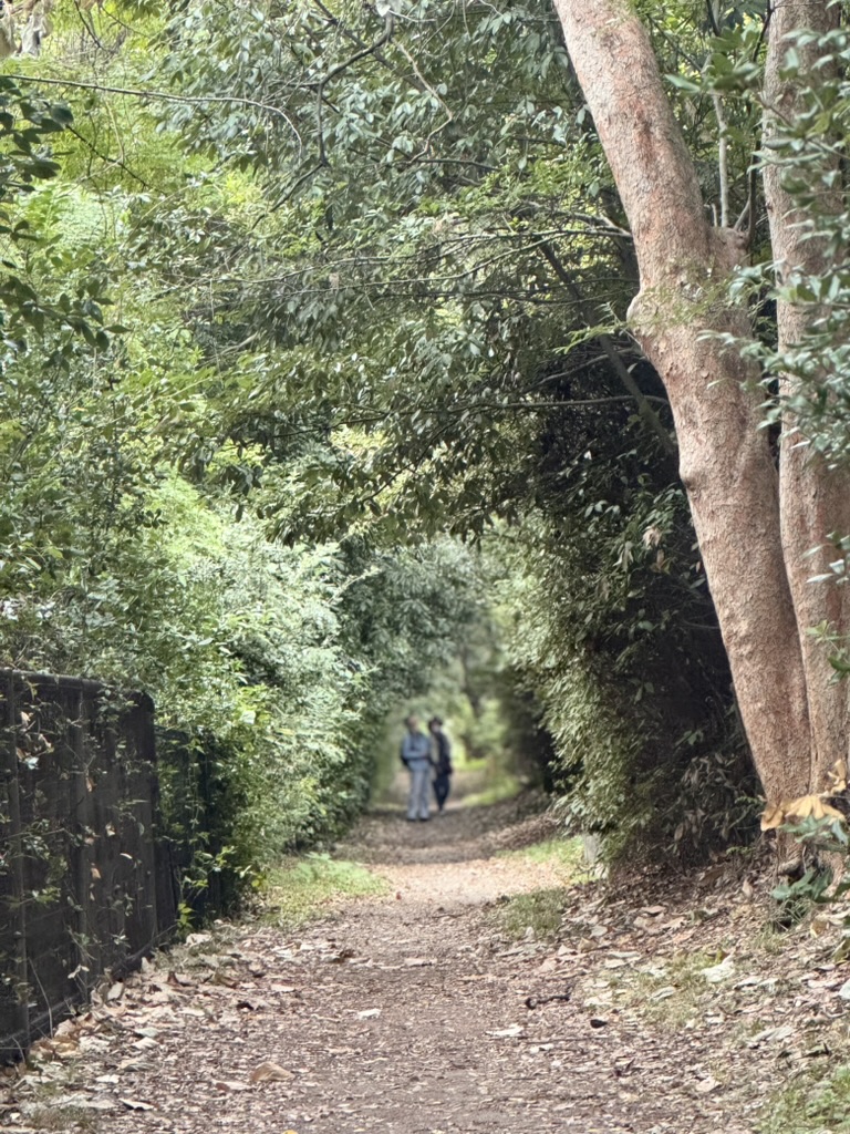 daniel and christina found this peaceful walking path near our osaka house - way more chill than the busy streets we've been on all week