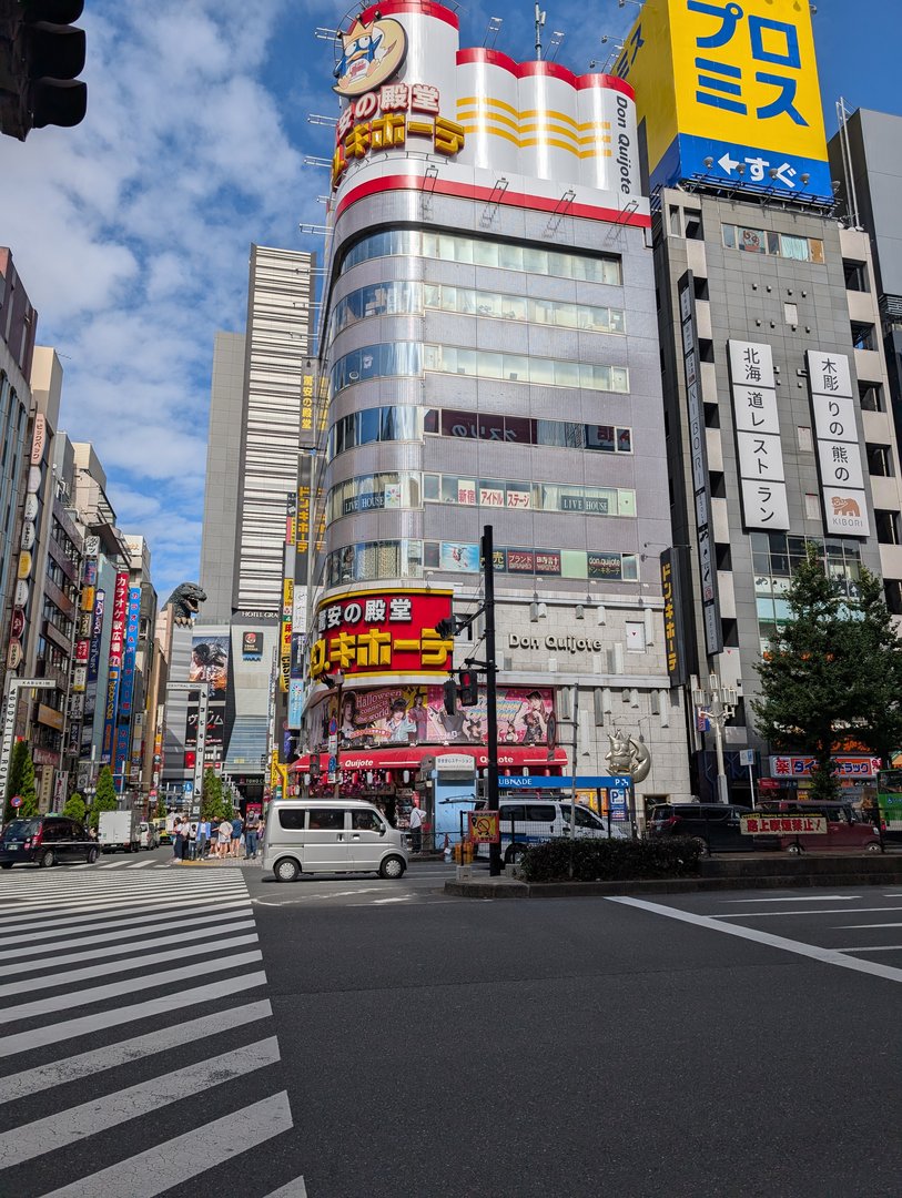 chuck caught this iconic shinjuku corner on our way to check out the MASSIVE don quijote store - those zebra crossings are no joke