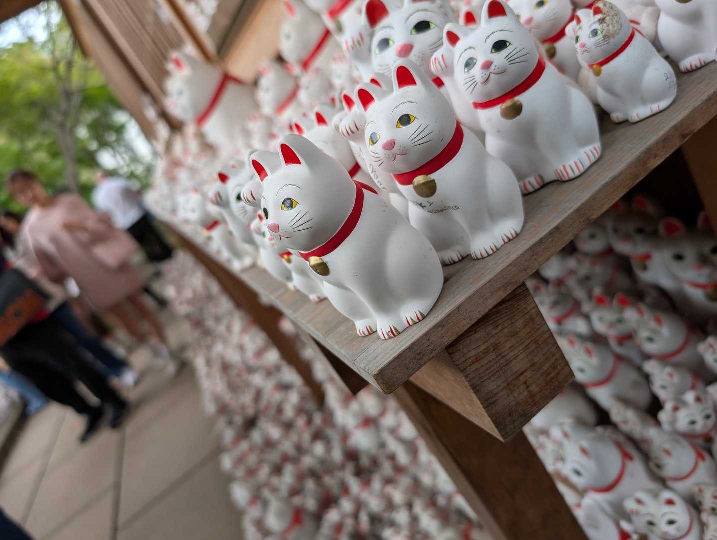 chuck found this army of maneki-neko lucky cats at a shrine in setagaya. ashley says we NEED one for our kitchen back home.