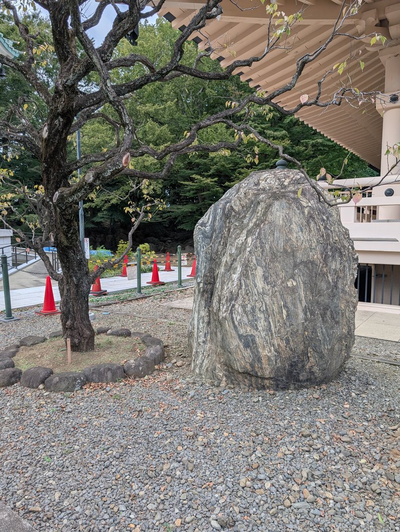 stumbled on this zen rock garden at gotokuji temple while chuck and ashley were exploring setagaya's backstreets