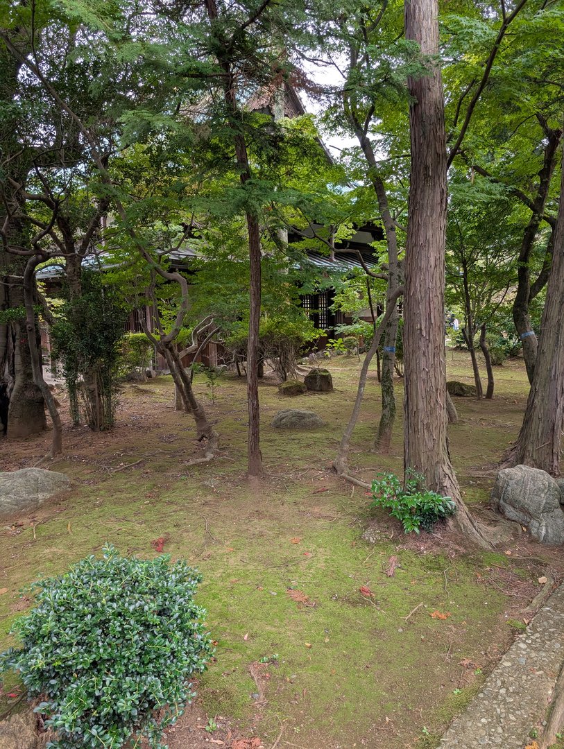 stumbled on this peaceful temple garden near gotokuji - the REAL birthplace of those lucky waving cats you see everywhere