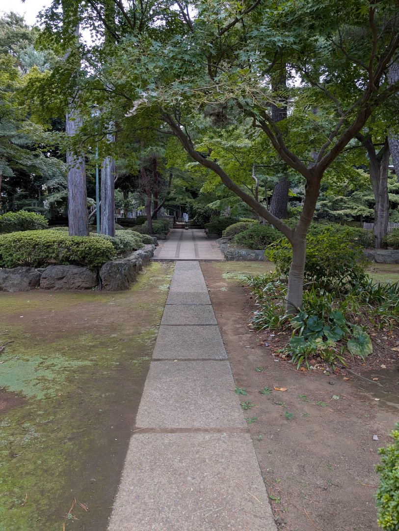 stumbled on this PEACEFUL garden path near gotokuji temple in setagaya. chuck managed to catch it right when nobody else was around.