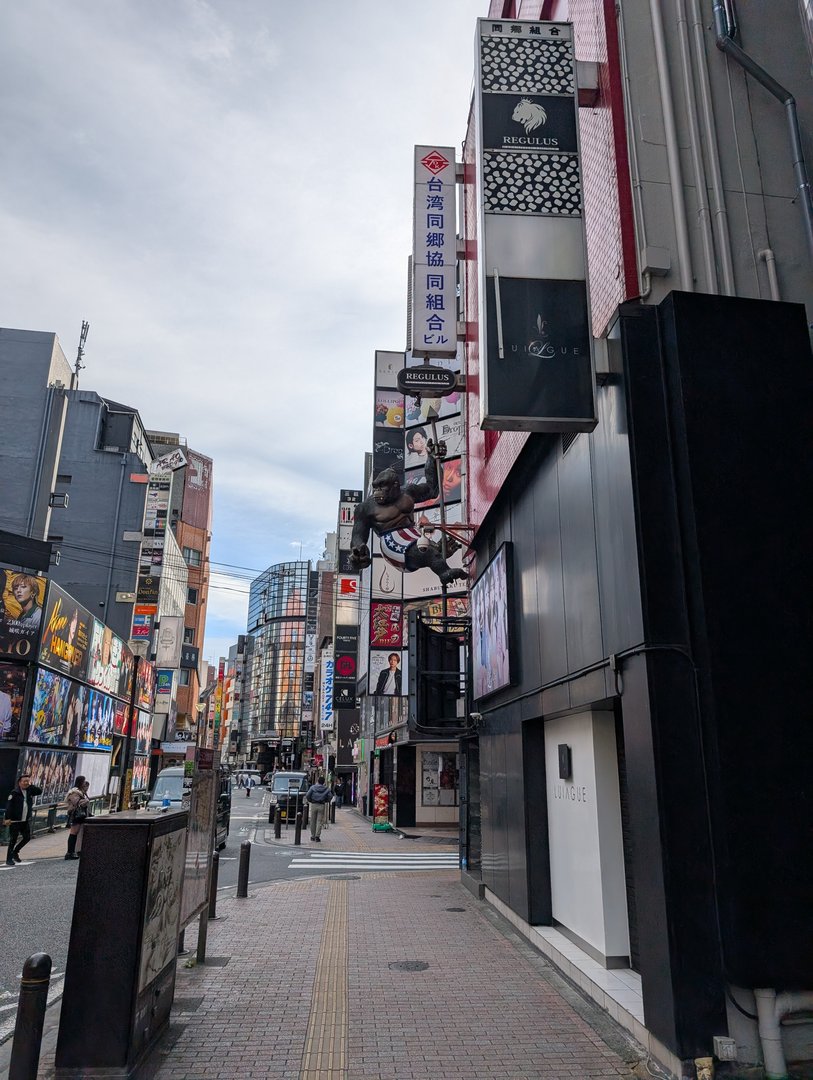 early morning wandering through shinjuku's entertainment district before the crowds hit. chuck caught this shot of the iconic kabukicho streets with their towering billboards and neon signs still quiet in the morning light.