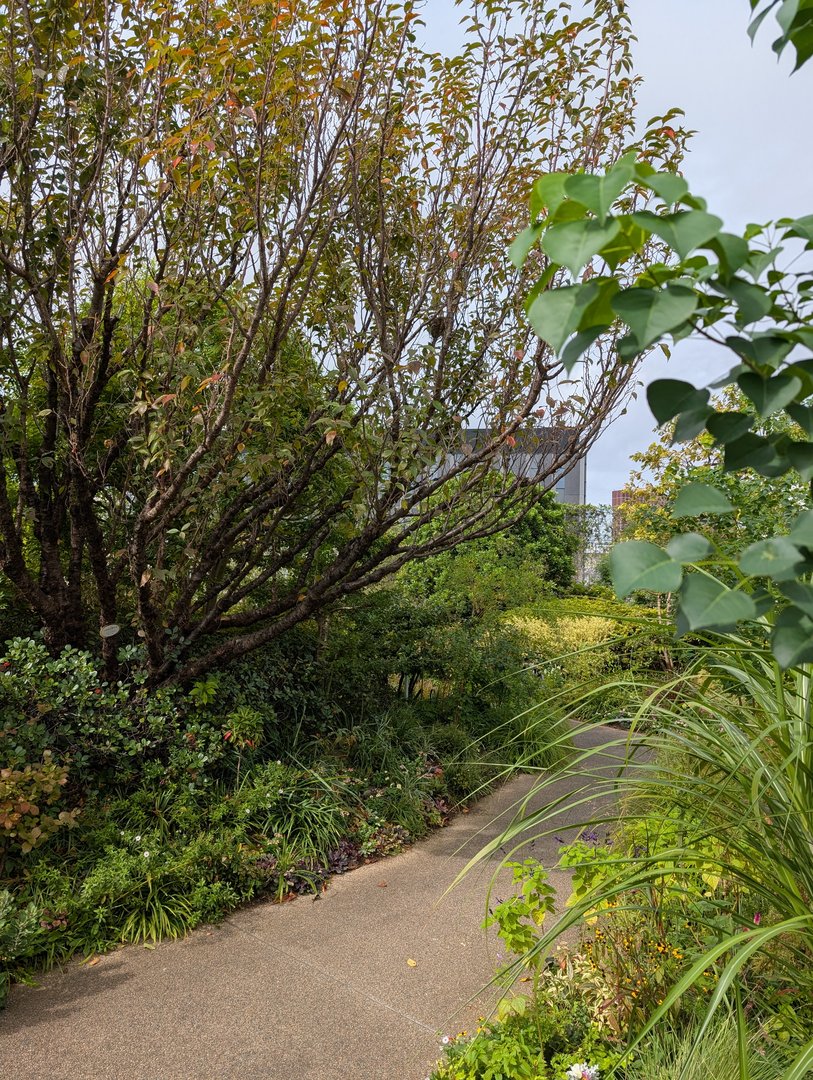 found this peaceful garden path tucked away in shinjuku - such a QUIET escape from the busy streets