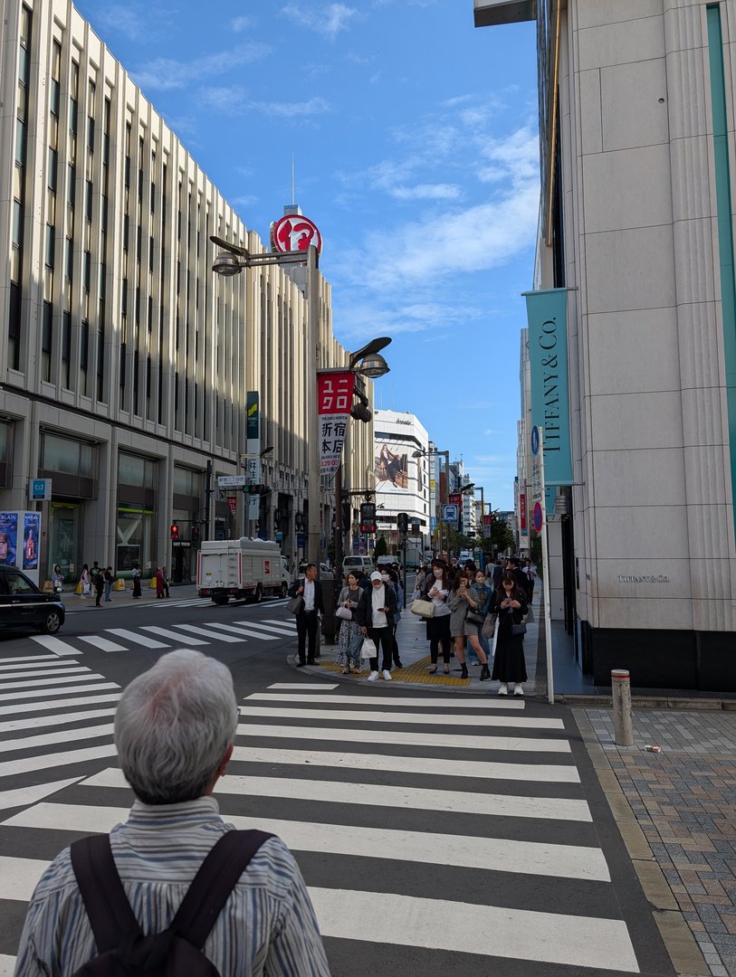 waiting at one of shinjuku's MASSIVE crosswalks - chuck caught this while ashley checked out the tiffany store