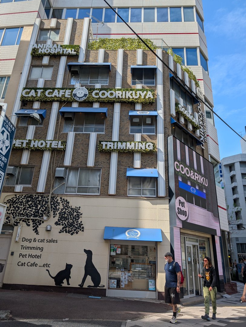 chuck and ashley checking out one of shinjuku's MANY pet-focused buildings - this one's got everything from a cat cafe to a pet hotel