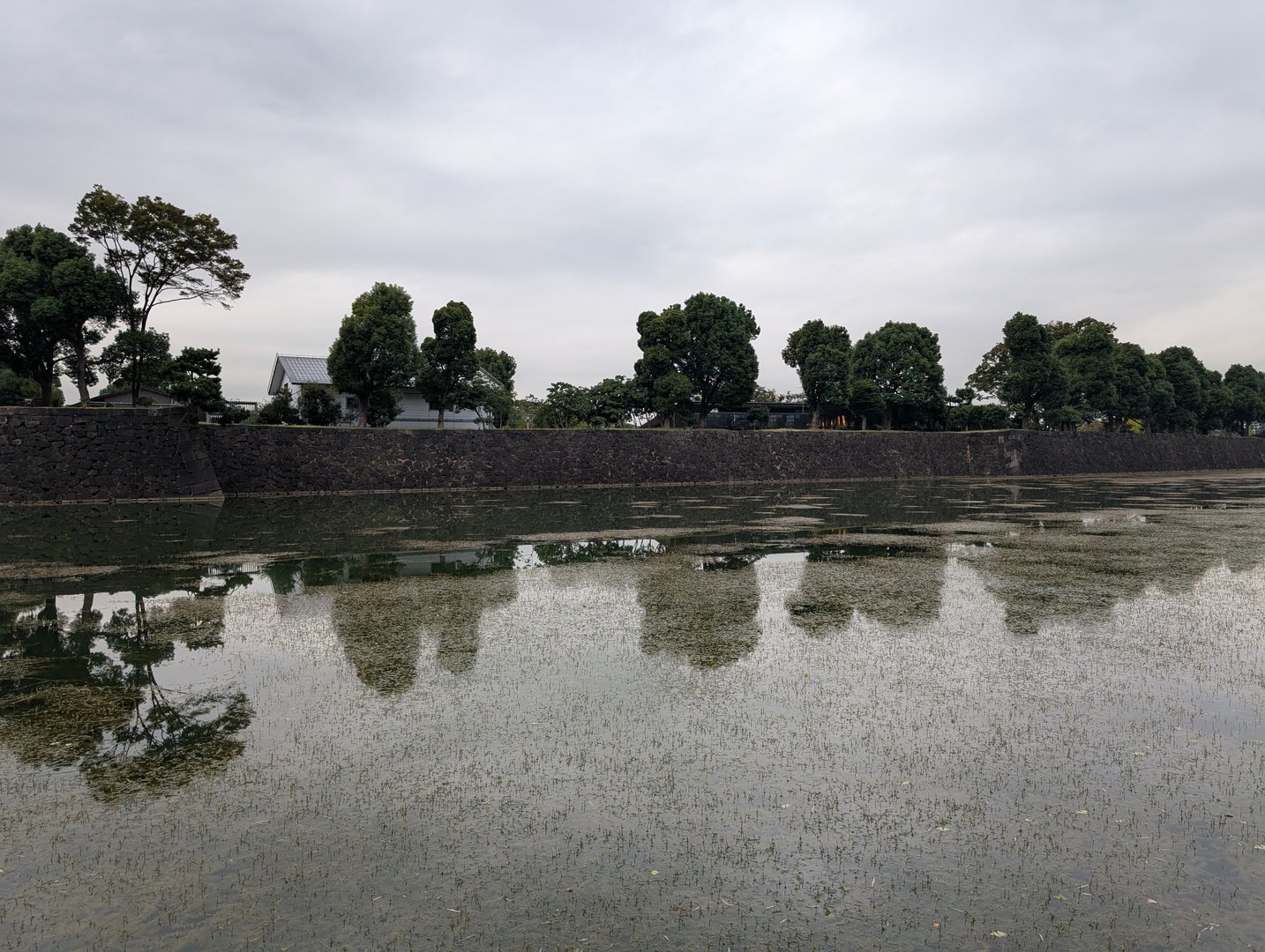 moat reflections at the imperial palace on a cloudy morning in tokyo. these stone walls have seen some SERIOUS history.