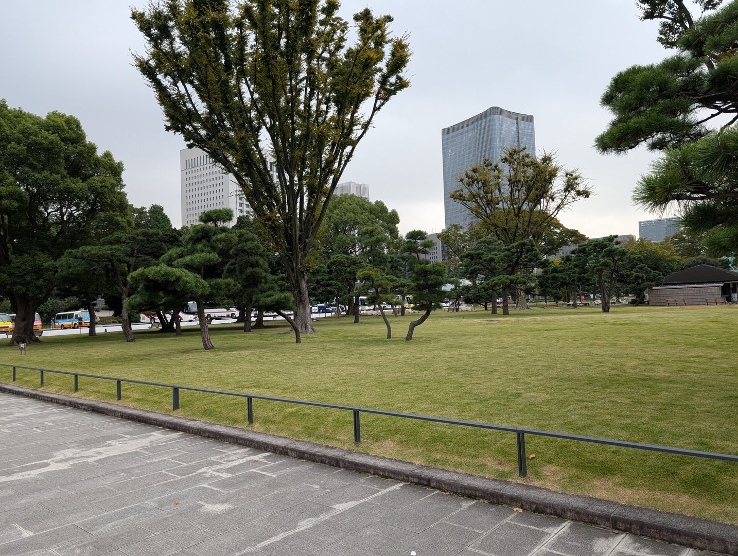 morning walk through the outer gardens of the imperial palace - chuck caught this quiet moment where modern tokyo towers over the carefully maintained pine trees