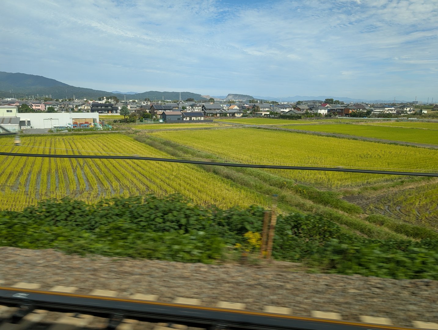 quick snap from the shinkansen window passing through ogaki - those GOLDEN rice fields though