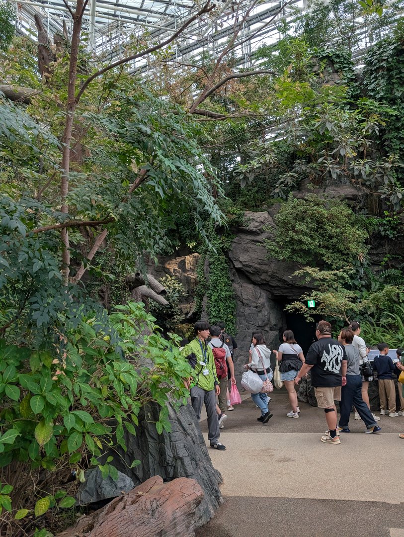 exploring the artificial cave system at osaka's tennoji zoo - chuck caught this shot of the line forming to enter the COOL underground exhibits