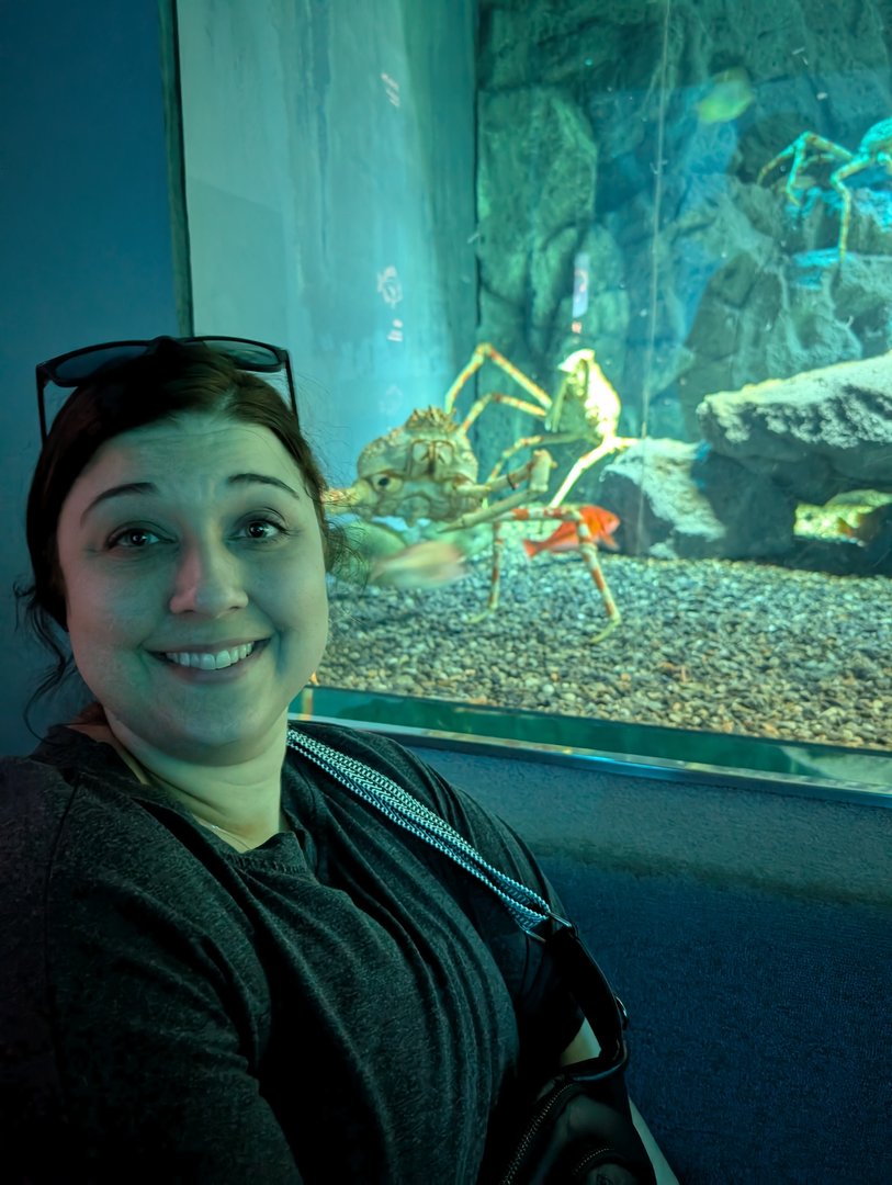 ashley checking out the MASSIVE japanese spider crab at osaka aquarium kaiyukan - these things are no joke