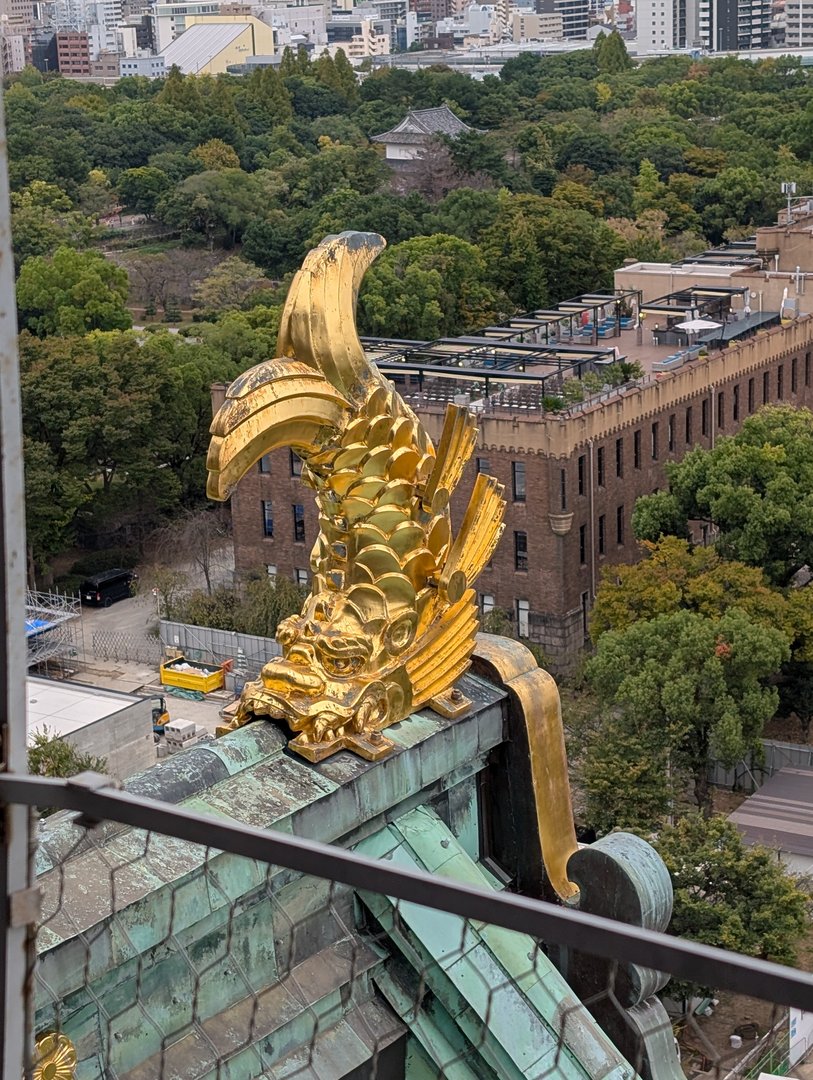 chuck got this AMAZING shot of the golden shachihoko fish-tiger on top of osaka castle. you can spot one of the turrets in the background through the trees.