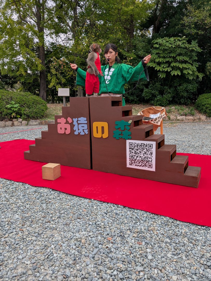 caught a monkey performance near osaka castle - these little guys in their outfits are WAY more coordinated than any of us