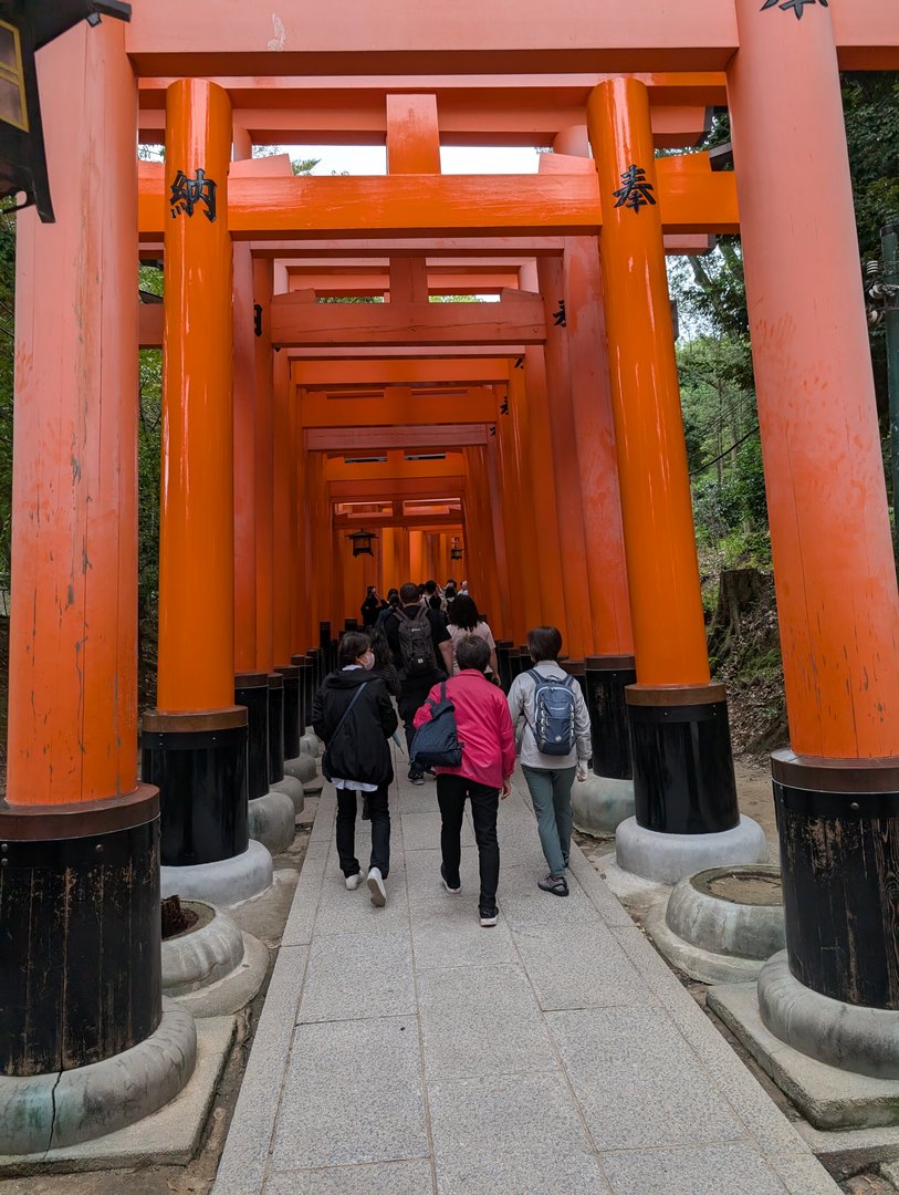 walking through the ICONIC orange torii gates at fushimi inari shrine - chuck managed to get this shot between the crowds of people heading up the mountain path