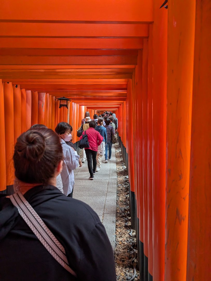 ashley joining the steady stream of tourists through the ICONIC orange torii gates at fushimi inari shrine